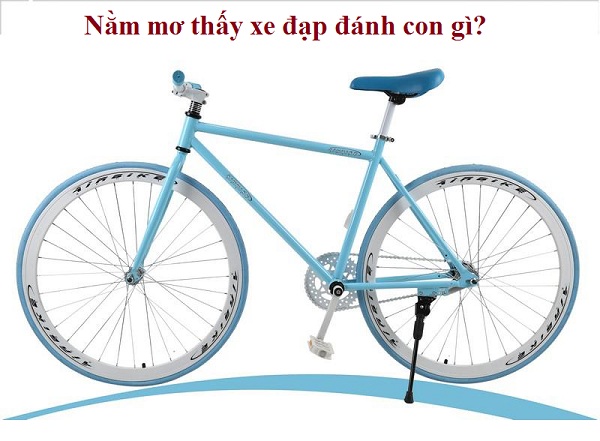 mơ thấy xe đạp đánh con gì? điềm báo cho giấc mơ là gì?
