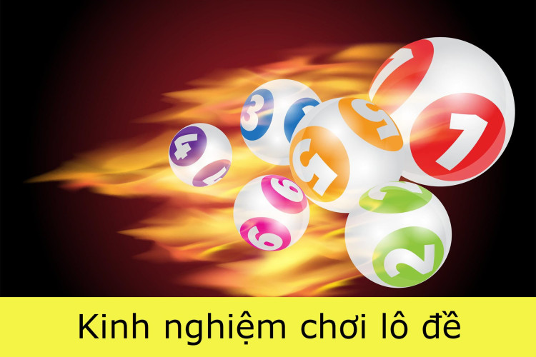 kinh nghiệm nuôi lô bạch thủ, song thủ siêu lợi nhuận